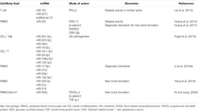 The Potential Role of Genetics, Environmental Factors, and Gut Dysbiosis in the Aberrant Non-Coding RNA Expression to Mediate Inflammation and Osteoclastogenic/Osteogenic Differentiation in Ankylosing Spondylitis